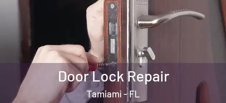  Door Lock Repair Tamiami - FL
