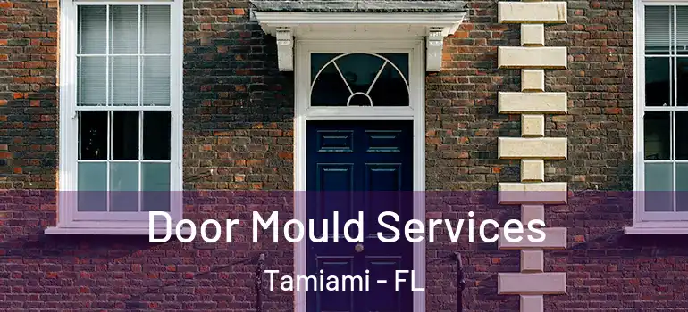  Door Mould Services Tamiami - FL