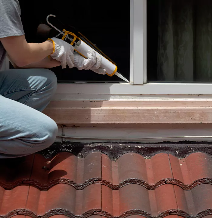 Roof Window Services in Tamiami, Florida