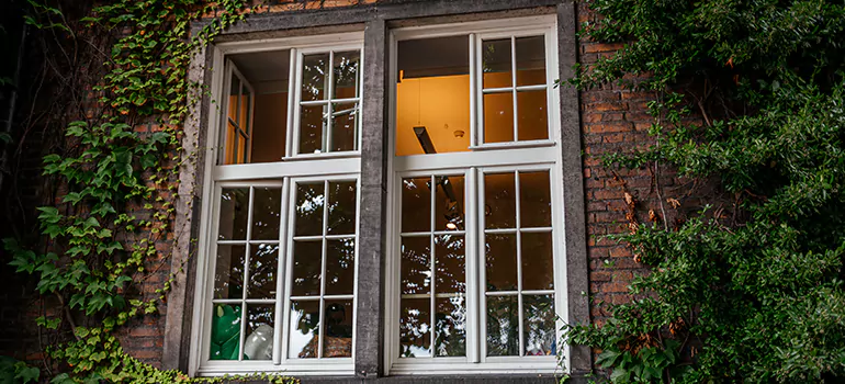 Energy Efficient Wood Windows in Tamiami, FL
