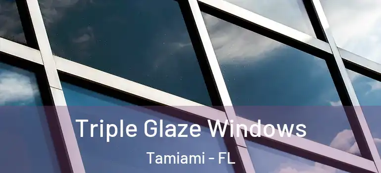  Triple Glaze Windows Tamiami - FL