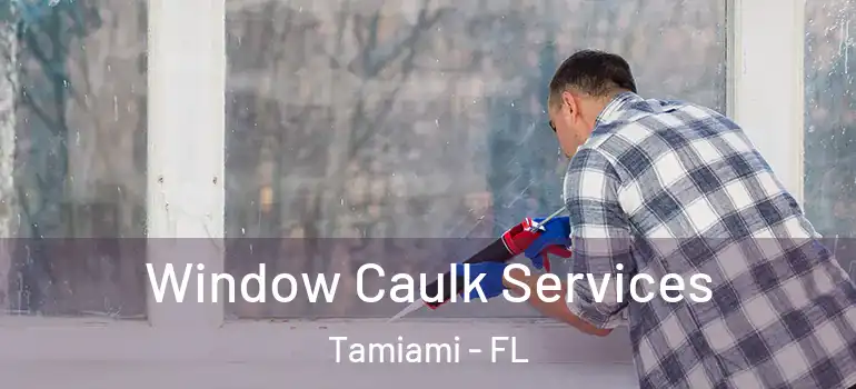  Window Caulk Services Tamiami - FL