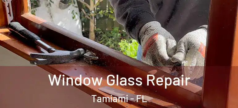  Window Glass Repair Tamiami - FL